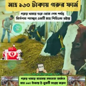 মাত্র ১৬০ টাকায় গরুর ফার্মিংয়ে সফলতার গাইড 👉