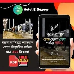 গরুর ফার্মিংয়ে সফলতার গাইড: প্রিমিয়াম ই-বুক মাত্র ২০০ টাকায়